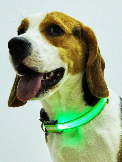 New LED Pet Collar, Luminous Collar (Size Runs Large, Recommend Ordering One Size Down)