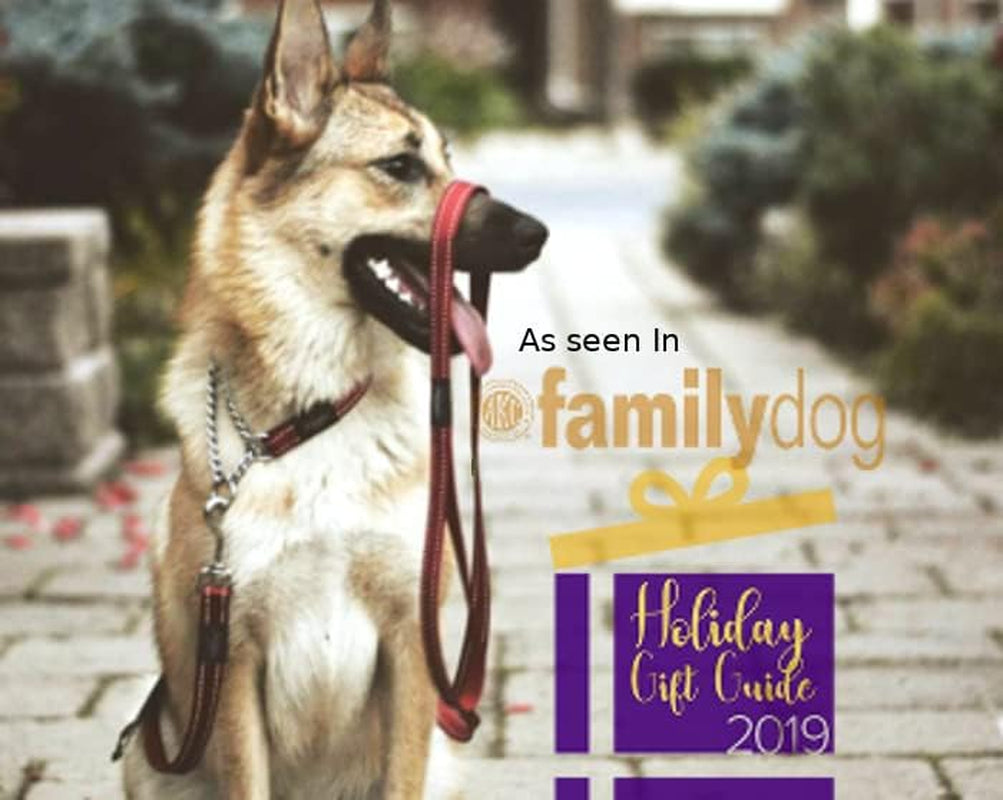 Reflective Nylon Choke Collar; Slip Show Obedience Training Gentle Choker for Medium Dogs, 