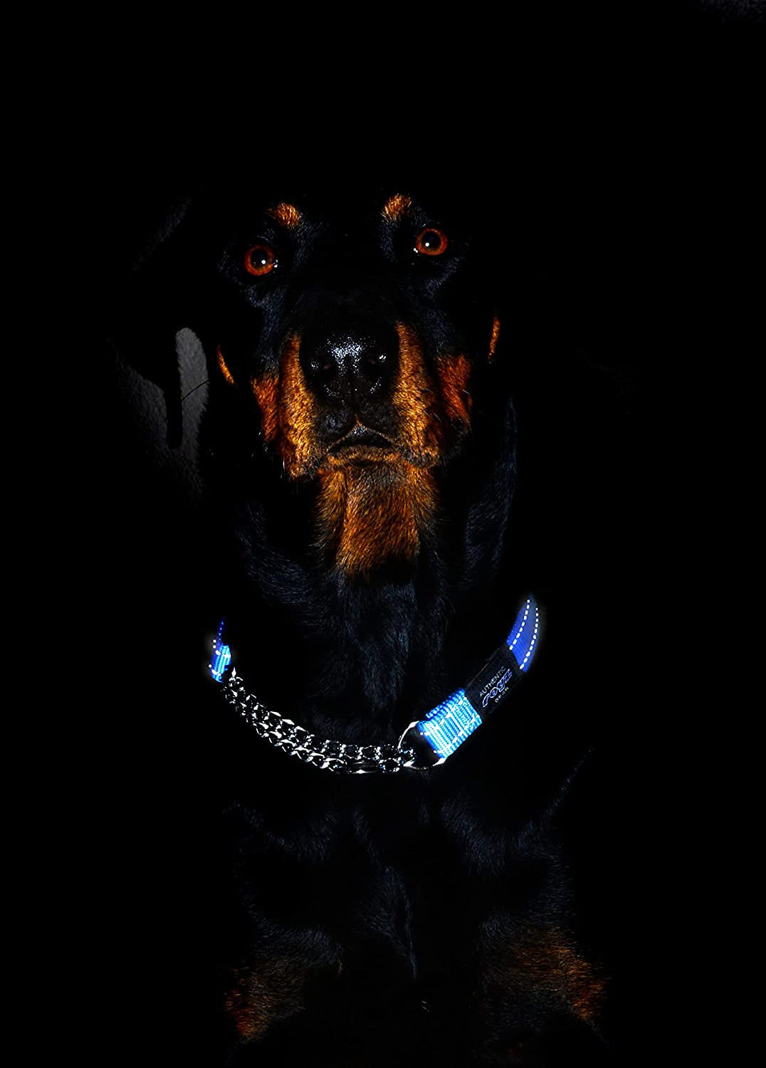 Reflective Nylon Choke Collar; Slip Show Obedience Training Gentle Choker for Medium Dogs, 