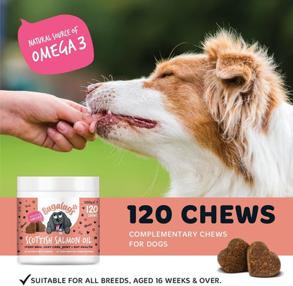 Bugalugs Dog Salmon Oil 100% Pure Dogs, Cats & Pets 500Ml, Healthy Skin & Coat