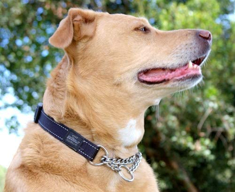 Reflective Nylon Choke Collar; Slip Show Obedience Training Gentle Choker for Medium Dogs, 